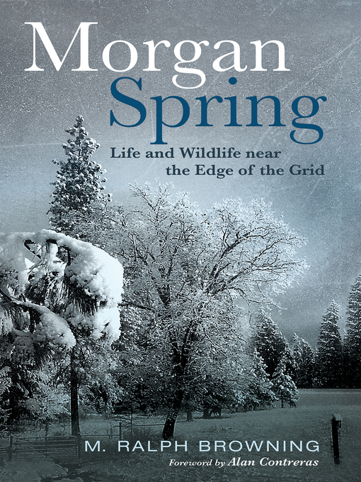 Title details for Morgan Spring by M. Ralph Browning - Available